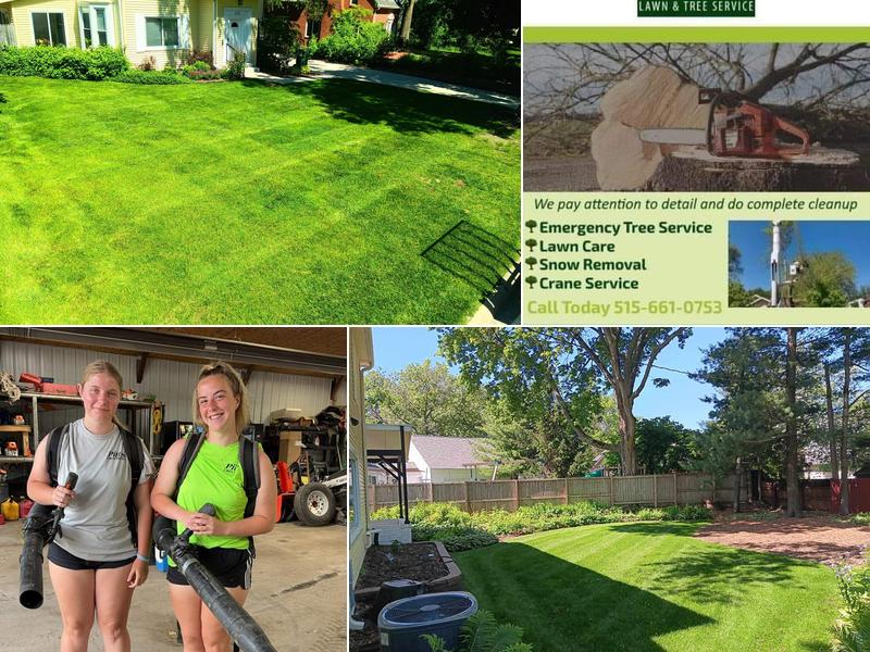 Pitts Lawn & Tree Service