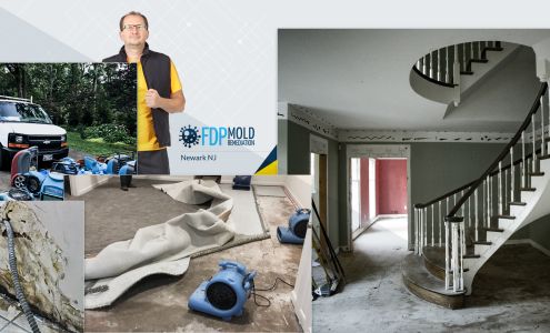 FDP Mold Remediation of Newark