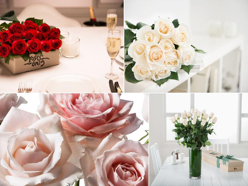 Roses Only San Diego