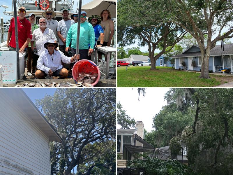 Word of Mouth Tree Service, Inc.