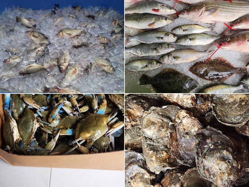 Howes Seafood Eddie’s Place