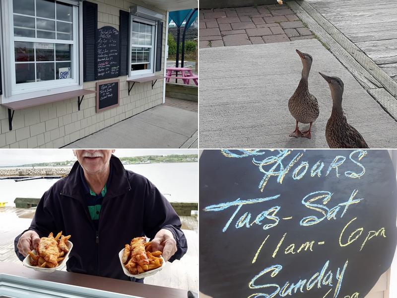 The Lord Fin & Feather