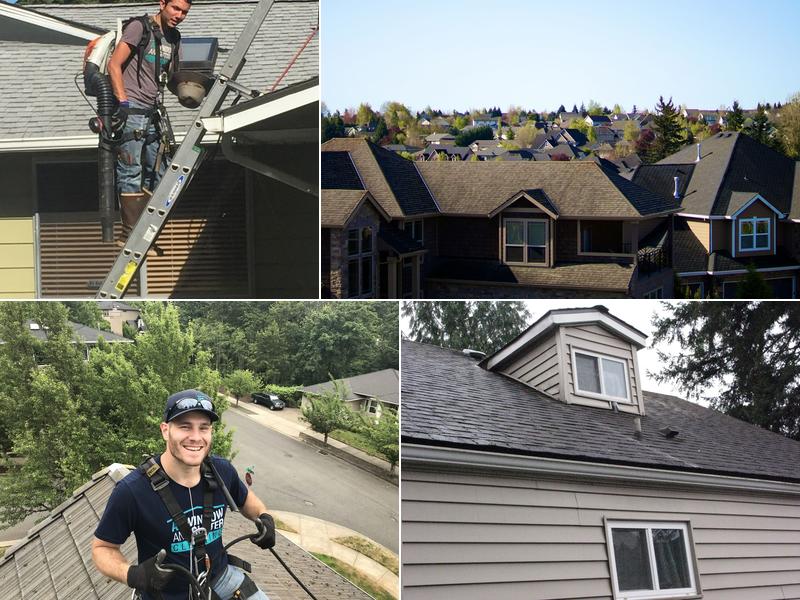 AA Window and Gutter Cleaning