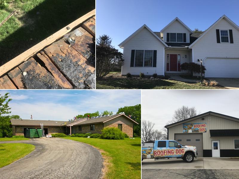 Swanson's Roofing The Roofing Dog