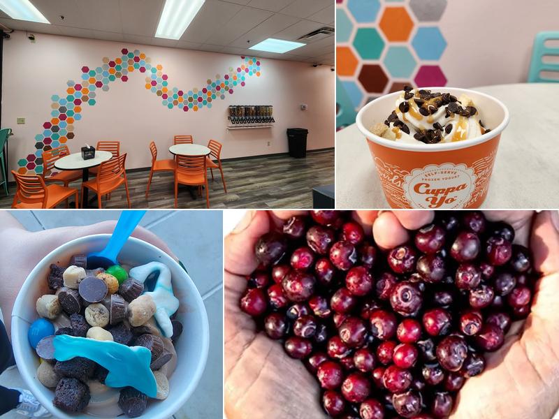 Cuppa Yo Frozen Yogurt