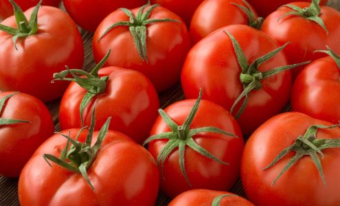 Monte Package Company 3752 Riverside Rd, Riverside Michigan 49084