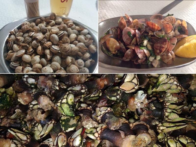 Leitaria Pérola do Murtal