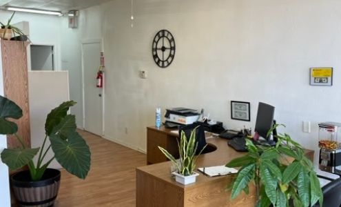 Lady Diana's Business Services