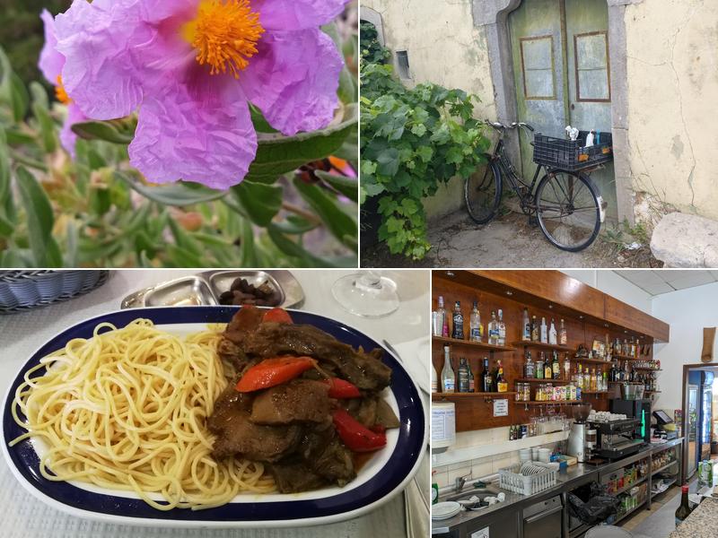 Snack Bar Nascer Do Sol