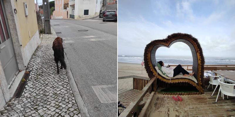 Café Ideal Almargem do Bispo