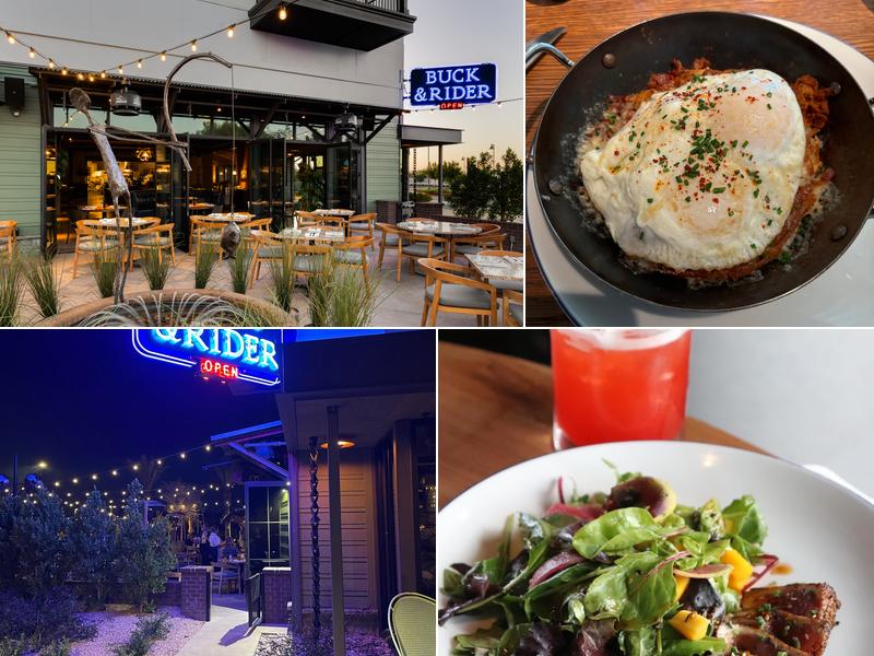 Buck & Rider Gilbert