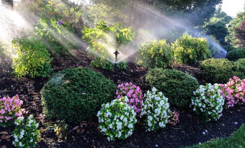 Miller Irrigation & Landscape Lighting