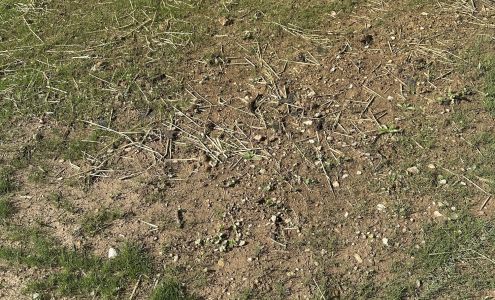 Three Friends Tree Service