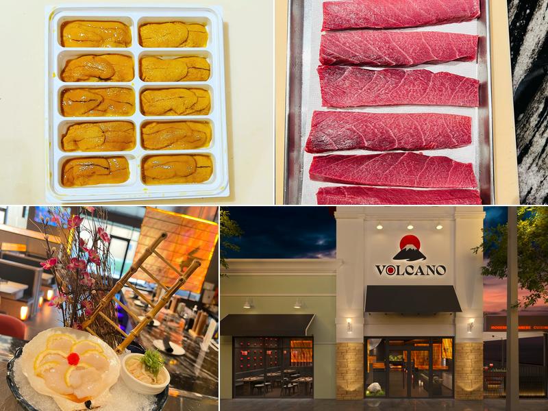 Volcano Japanese Cuisine