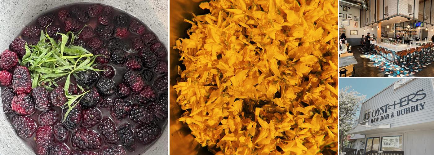 OystHERS Raw Bar & Bubbly