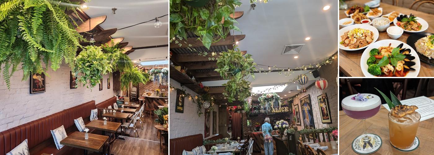 Alice Comfort Cocktail