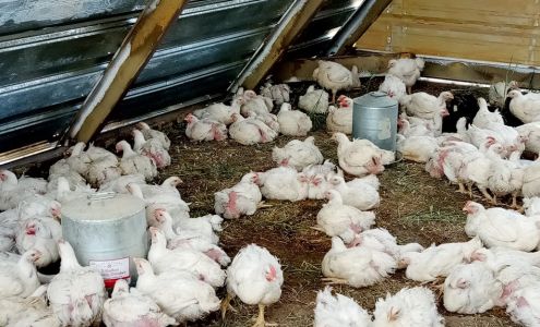 Roots From Eden CSA and Raw Goat Dairy Loma