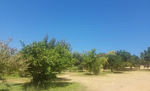 Twin Peaks Orchards Newcastle