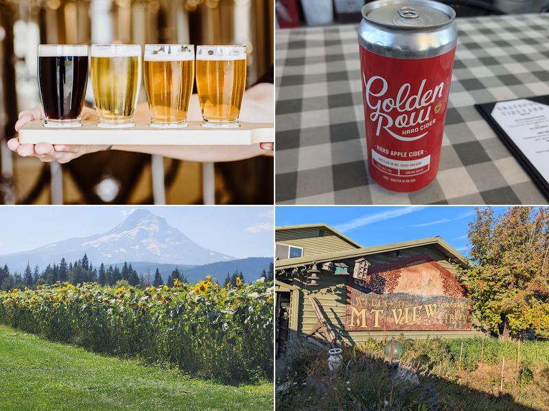 Mountain View Brewing 6670 Trout Creek Ridge Rd, Mt Hood