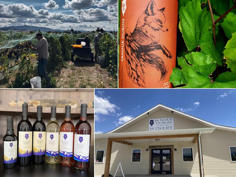 LaNoue DuBois Winery