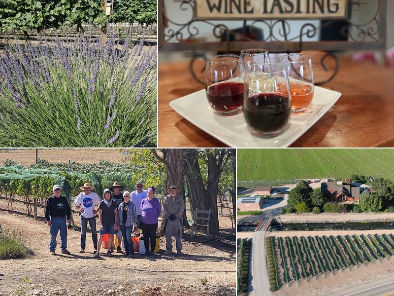 Owyhee Vista Vineyard