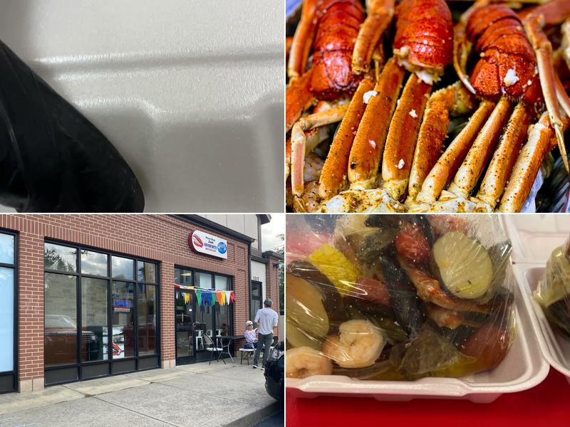 More Than Just Shark Bite New England