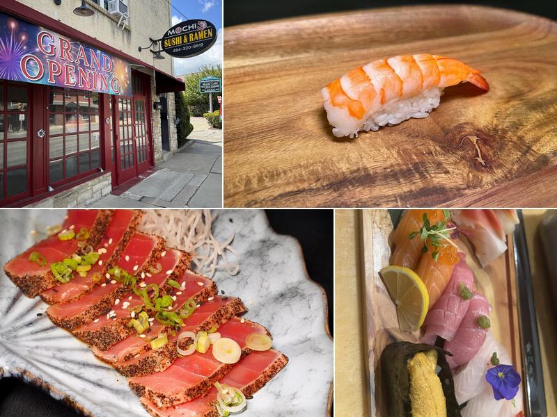 Mochi Sushi & Ramen(BYOB)