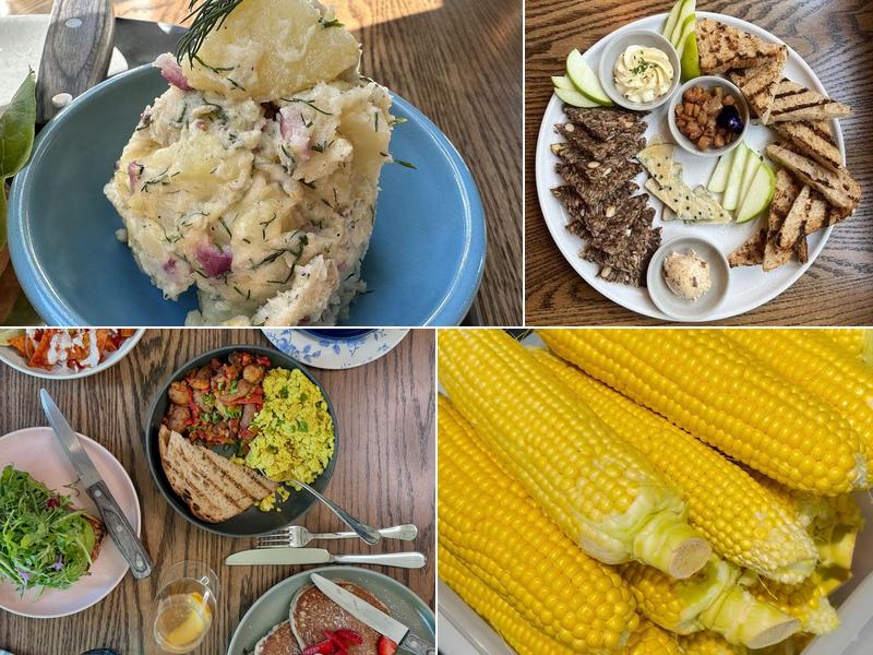 Blossom and Root Kitchen 411 Hartz Ave, Danville