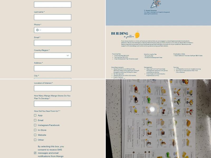 Mango Mango Dessert Menu