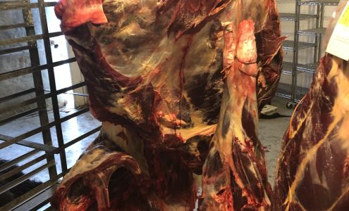 H & H Processing Springer