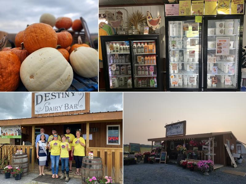 Destiny Dairy Bar 60 Horners Rd, Carlisle