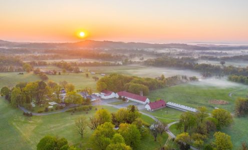 Bluemont Station Brewery & Winery Bluemont