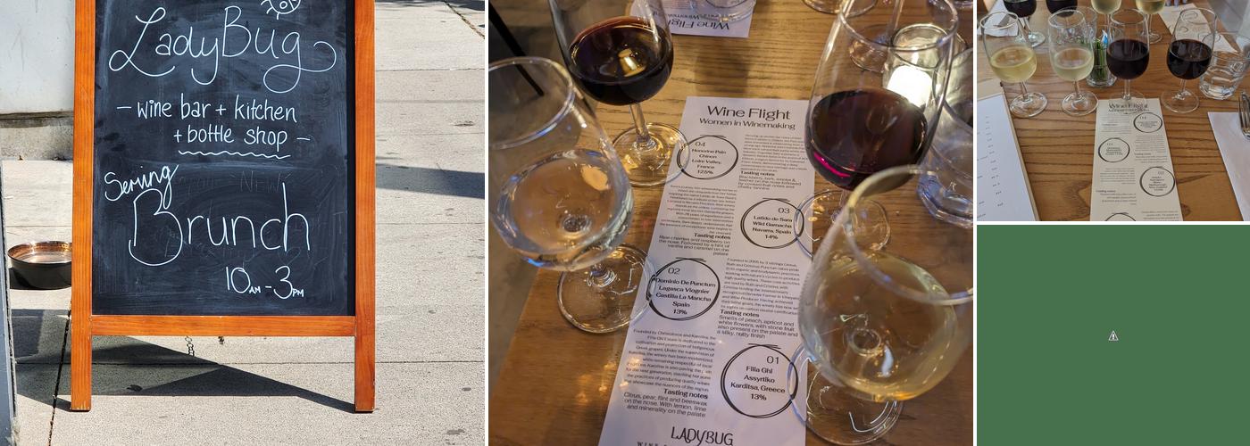 Ladybug Wine Bar Menu