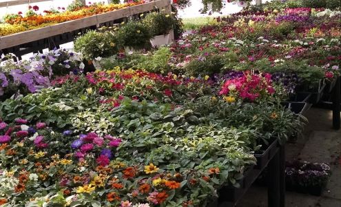 Blue Freedom Farm Market Inc