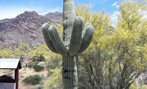 Apache Junction Motel