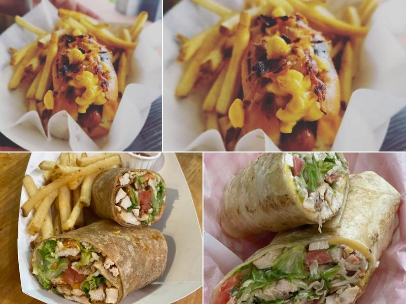 Doggology 2081 Albany Post Rd, Montrose