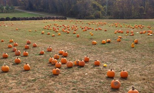 Layman Family Farms Blue Ridge