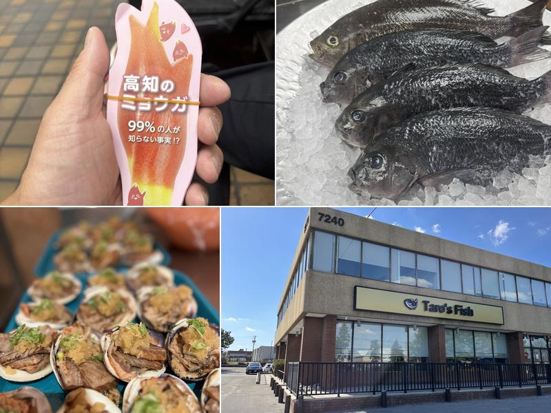 Taro’s Fish 7240 Woodbine Ave Unit 100, Markham