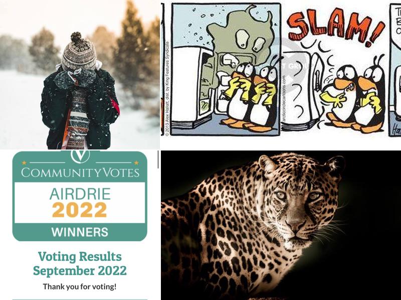 Super Dads Appliance Repair