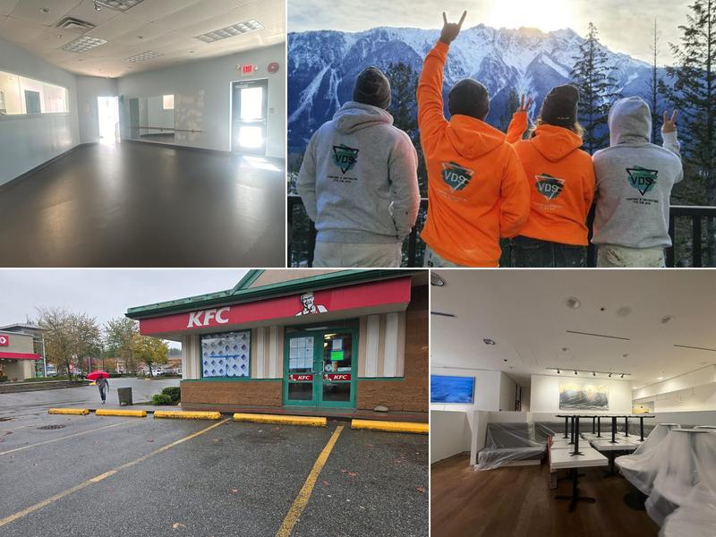 VDS Painting and Decorating Inc.