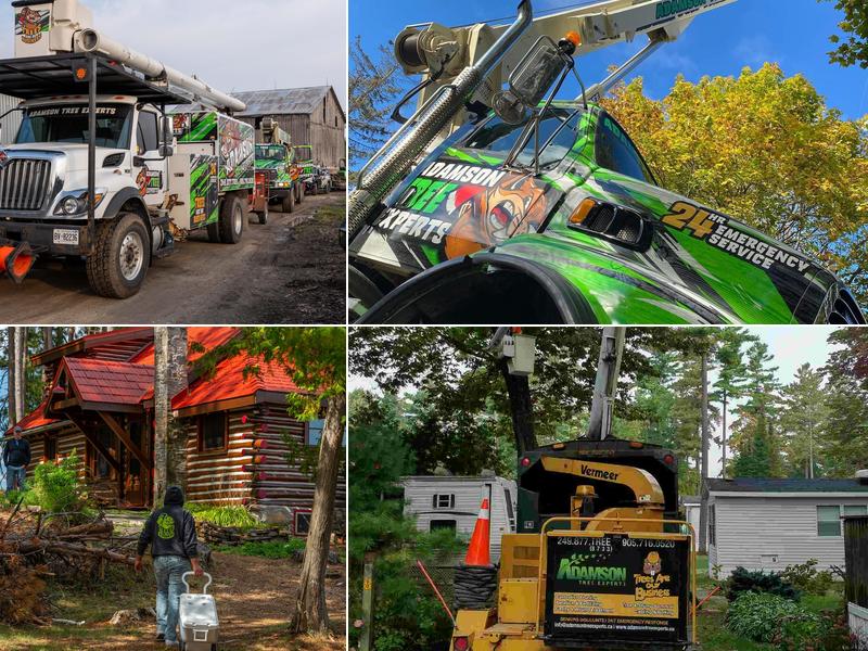 Adamson Tree Experts