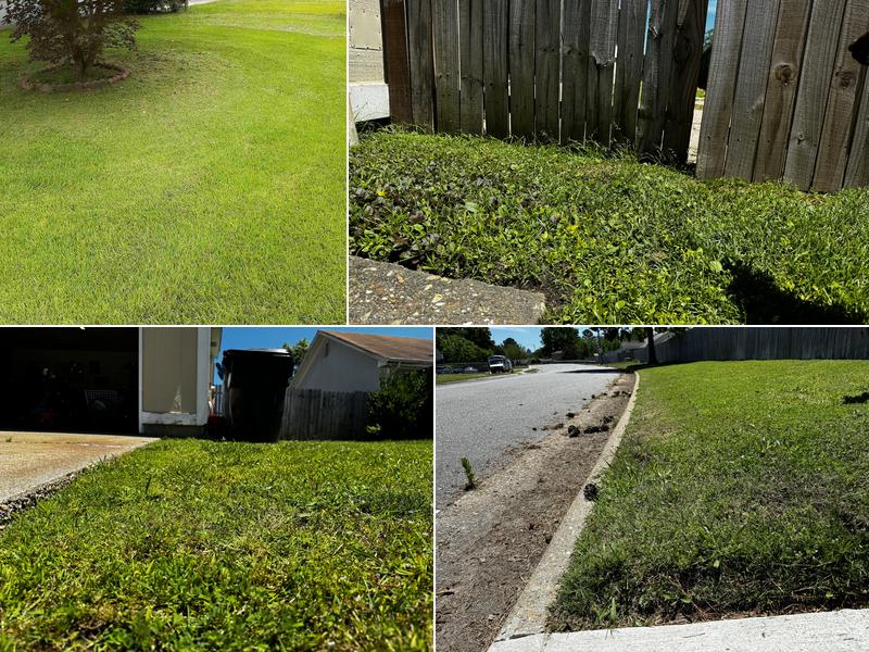 LawnStarter Lawn Care Service