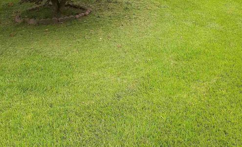 LawnStarter Lawn Care Service