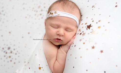 Four Fireflies Photography