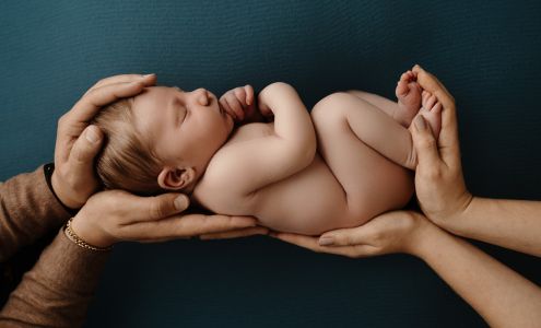 Lane Collins Photography