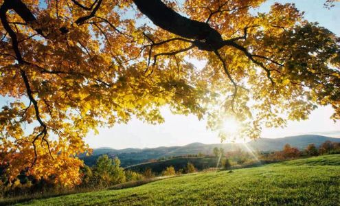 Law Offices of Kristine M. Demo-Vazquez, P.C. Henrietta