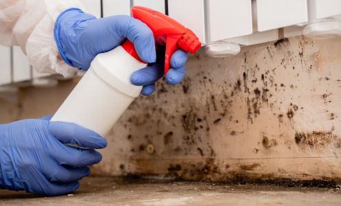 Absolute Mold Remediation Ltd.