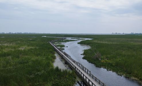 Marsh Services & Canoe Rentals