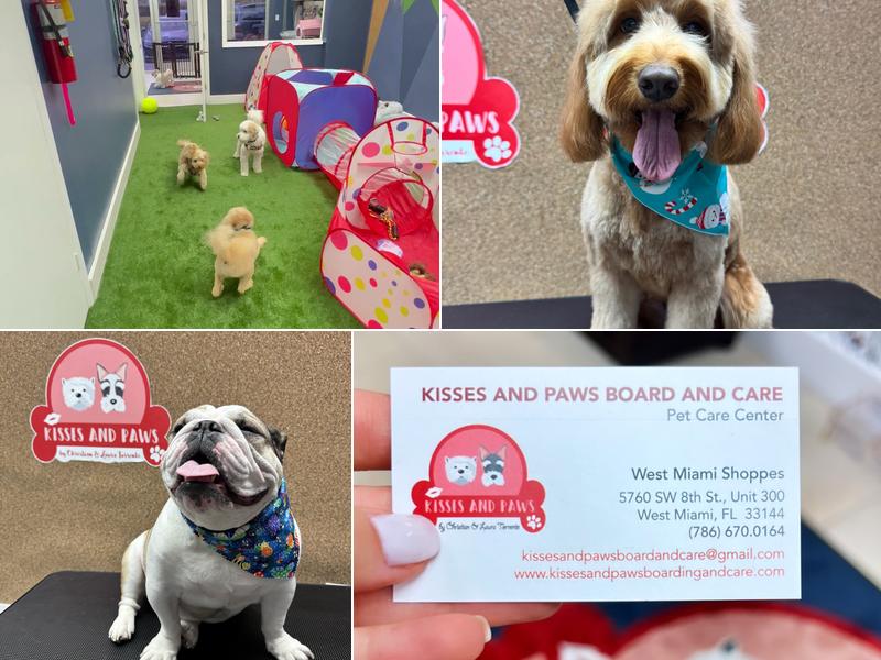 Kisses and Paws Board and Care