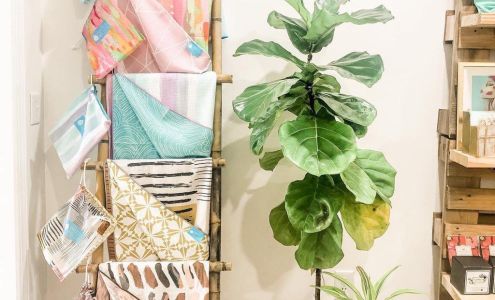 Local and Bloom LLC Pike Rd